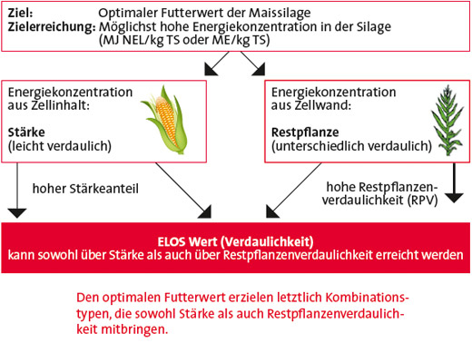 Schaubild LGAN Schaubild LGAN