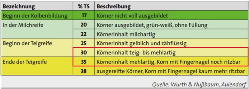 Was ist der optimale Silomais Erntetermin