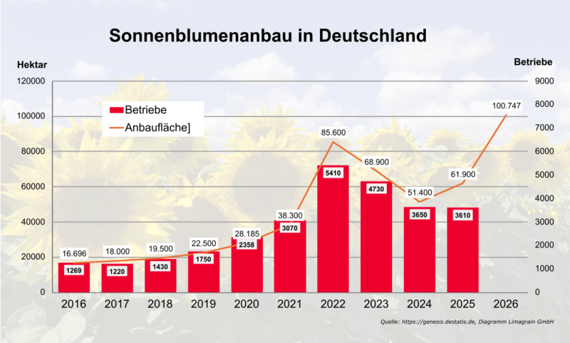 Sonnenblumen Anbau Deutschland, Flächen und Betriebe 2016-2026