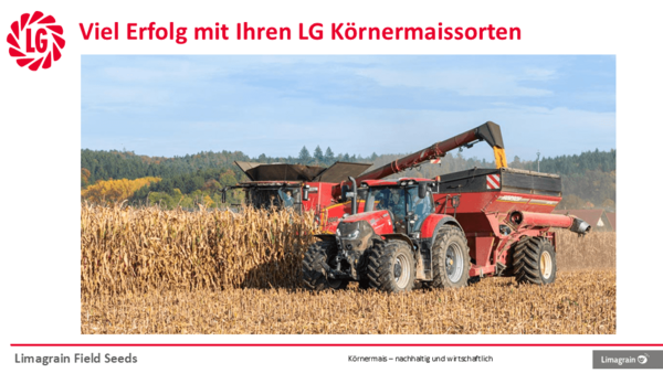 Körnermais - nachhaltig und wirtschaftlich