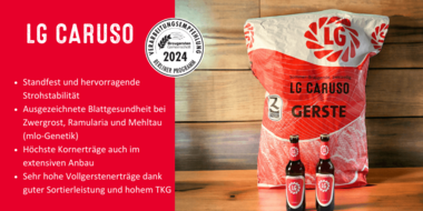 Lg Caruso Berlinerprogramm2024
