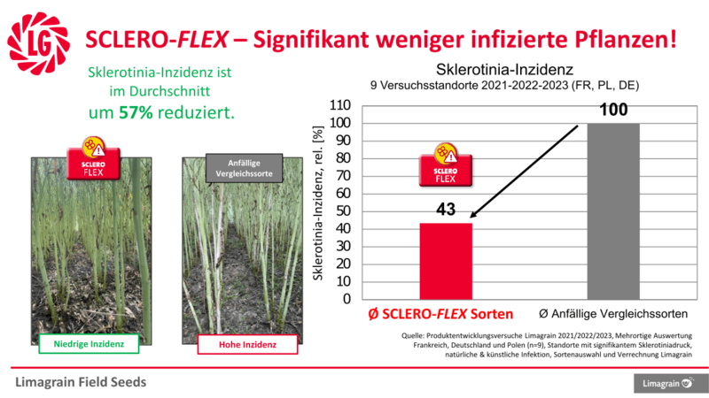 Scleroflex Infektionen 1108