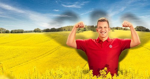 LG AVENGER Raps - stängelgesund und Rapserdflohschutz