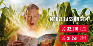 Neue Maissorten für LG vom Bundessortenamt zugelassen