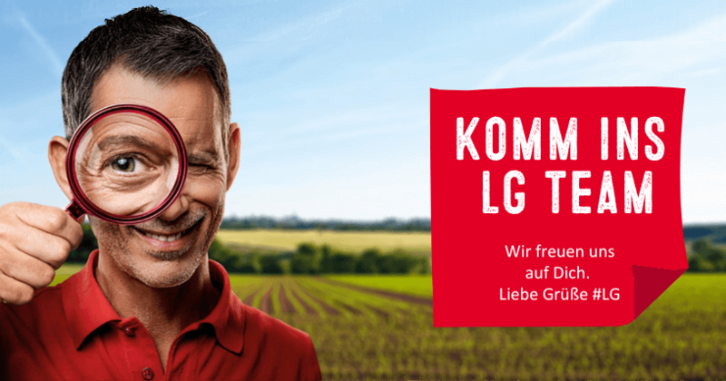 Job Titel Komm Ins Lg Team 815X427