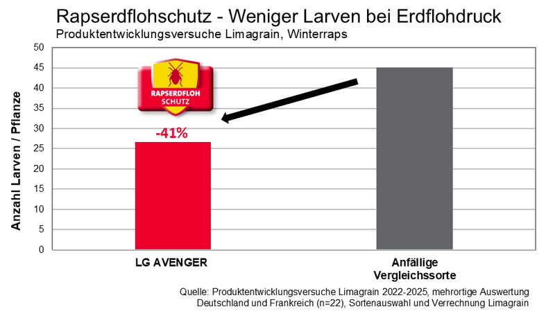 Rapserdflohschutz Diagramm