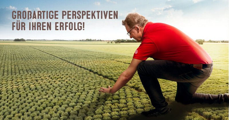 LG Weizen - großartige Perspektiven für Ihren Erfolg