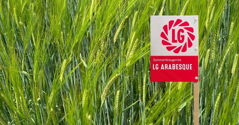 LG ARABESQUE - neue Sommerbraugerste