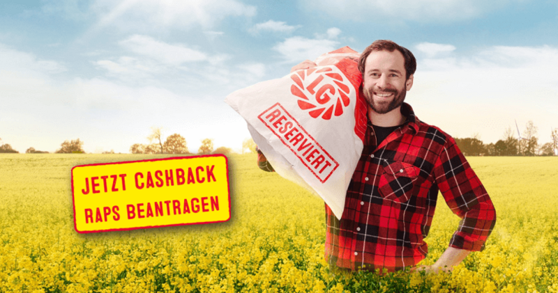 Raps Cashback Beantragen