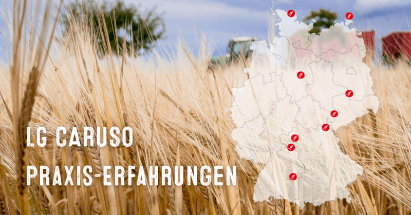 LG CARUSO - in weiten Teilen offiziell empfohlen und für gut befunden