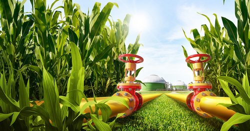 Mais LG 31.304 - Vollgas voraus!