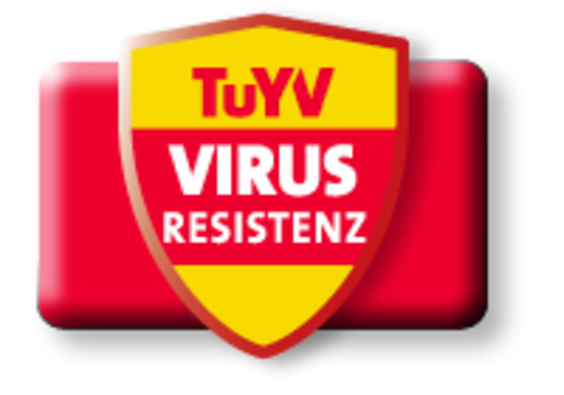 Resistenz gegenüber dem Wasserrübenvergilbungsvirus (TuYV)