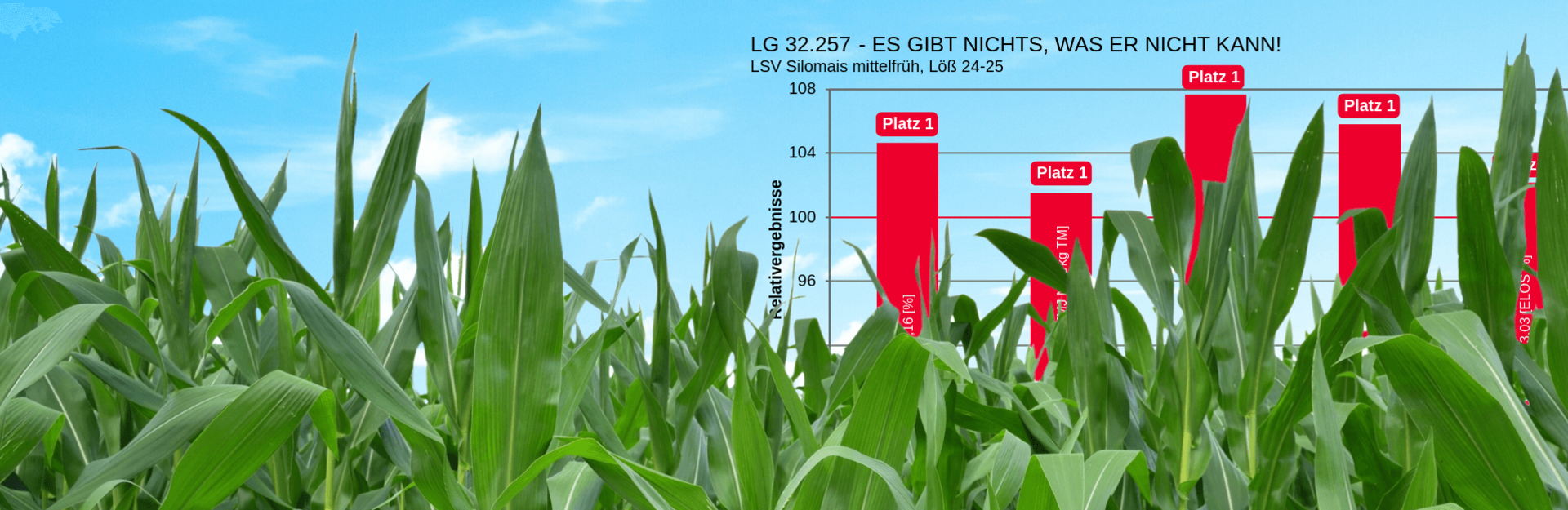 Mais - aktuelle Ergebnisse