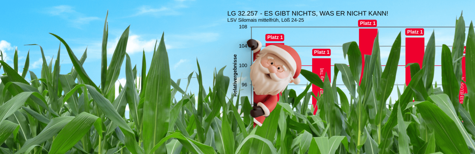 Mais - aktuelle Ergebnisse