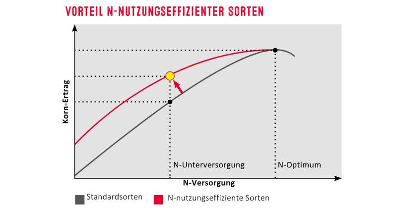Vorteil Nflex Sorten