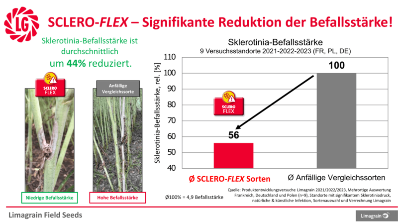Scleroflex Befallsstaerke 1108