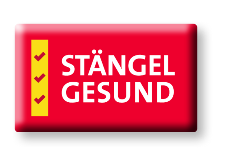 Staengelgesund 500Px