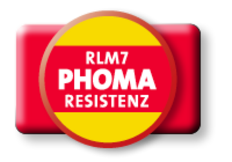 RLM7-Phomaresistenz