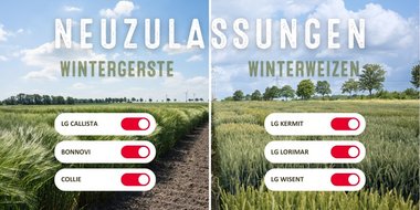 Neuzulassungen Getreide 2024 815X427