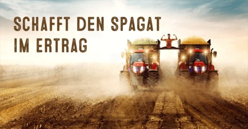 Mais Topsorte LG 31.276 - Schafft den Spagat im Ertrag - Silomais, Biogasmais, Körnermais