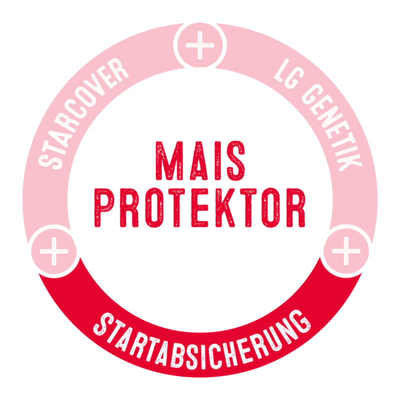 Mais Protektor Startabsicherung 2023