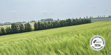 LG Baryton Sommerbraugerste - Verarbeitungsempfehlung Berliner Programm