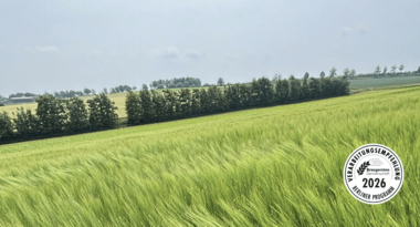 LG Baryton Sommerbraugerste - Verarbeitungsempfehlung Berliner Programm