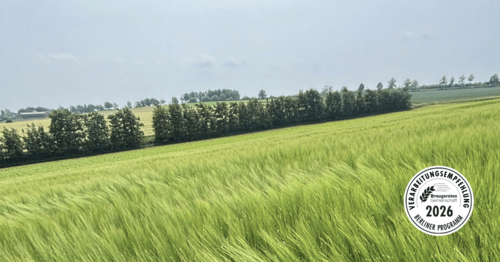 LG Baryton Sommerbraugerste - Verarbeitungsempfehlung Berliner Programm