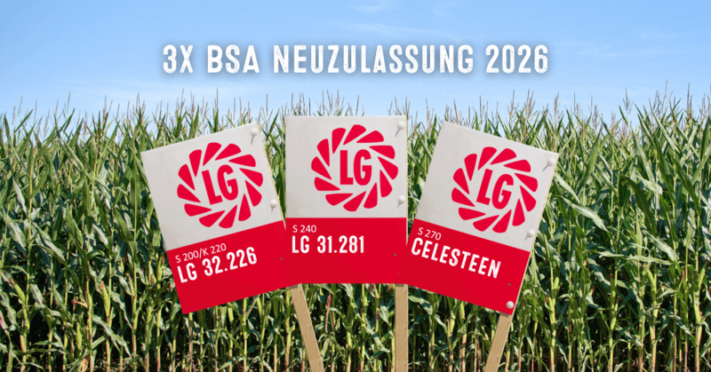 3x Mais Neuzulassung 2026 für LG