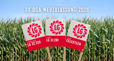 3x Mais Neuzulassung 2026 für LG