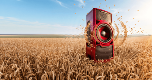 LG RESONANZ B-Winterweizen