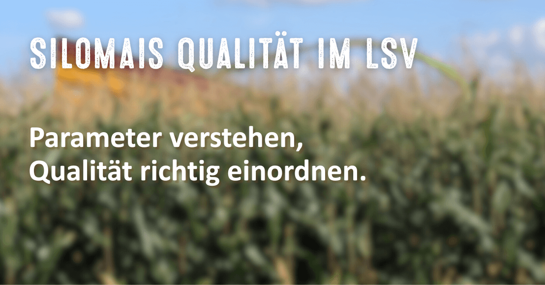 Silomaisqualität im LSV - Qualitätsparameter richtig einordnen