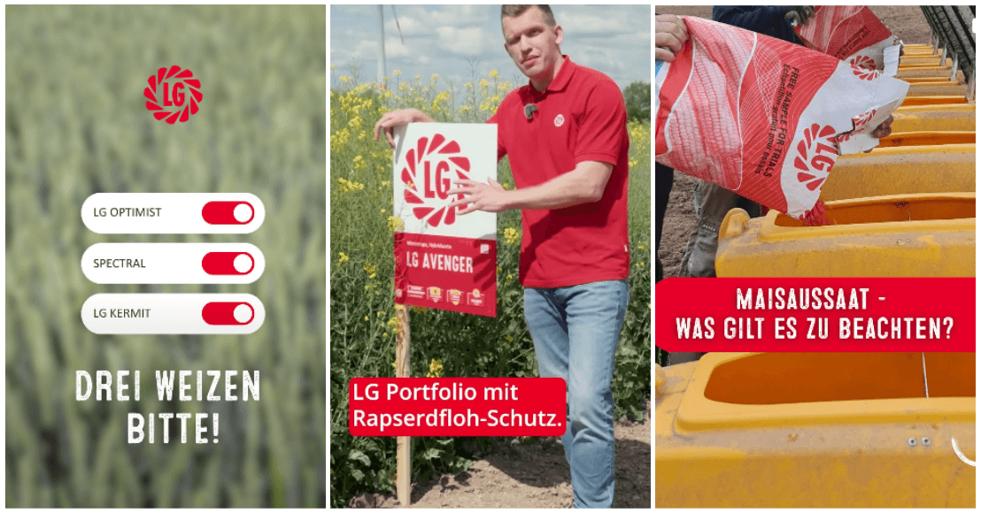 Instagram Themen - hier gibt es den Hintergrund dazu