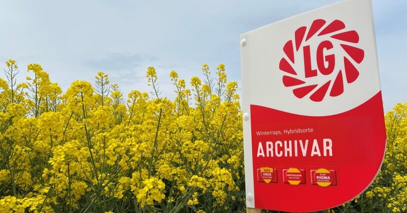 Rapssorte ARCHIVAR - BSA-Neuzulassung Dezember 2022 Rapssorte ARCHIVAR - BSA-Neuzulassung Dezember 2022