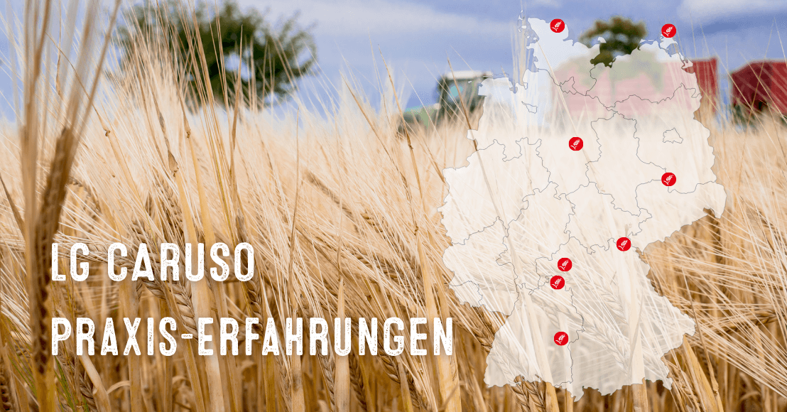 LG CARUSO - in weiten Teilen offiziell empfohlen und für gut befunden