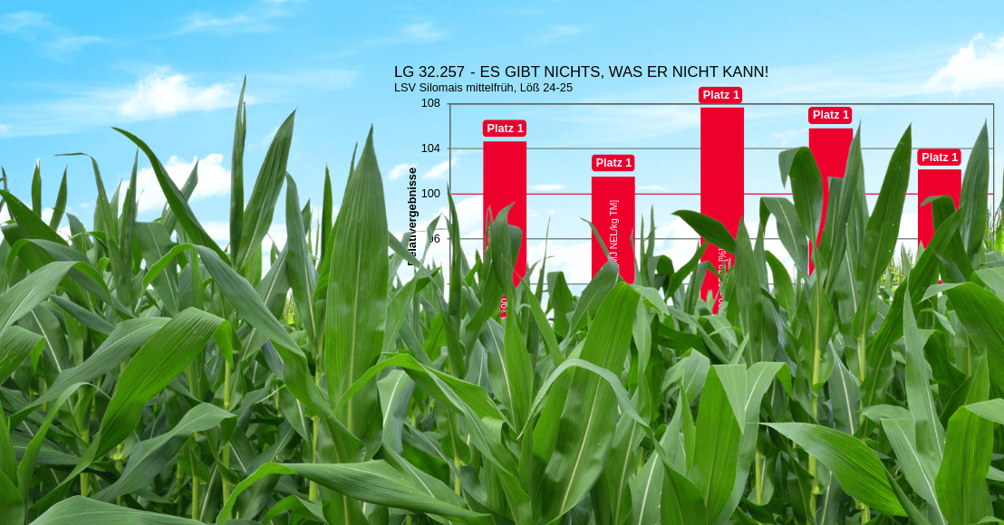 LSV und Prüfungsergebnisse Mais