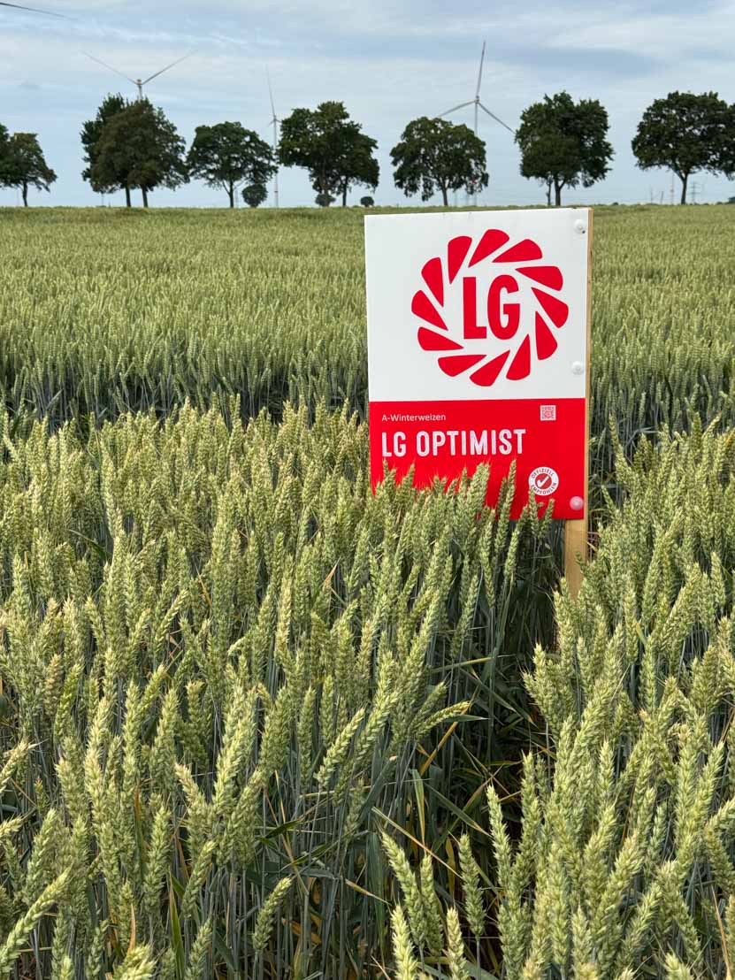 LG OPTIMIST A-Winterweizen