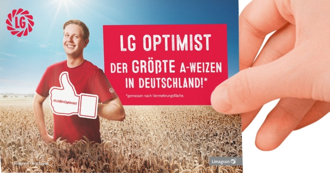 LG OPTIMIST - Größter A-Weizen nach Vermehrungsfläche Aussaat 2024