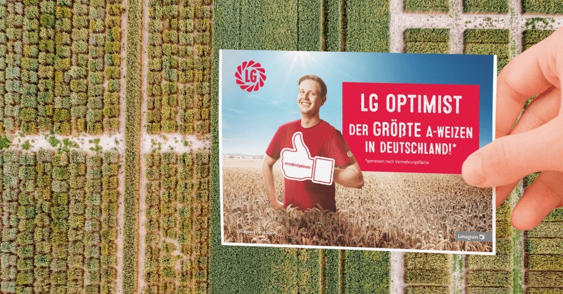 Weizen Aussaat 2025