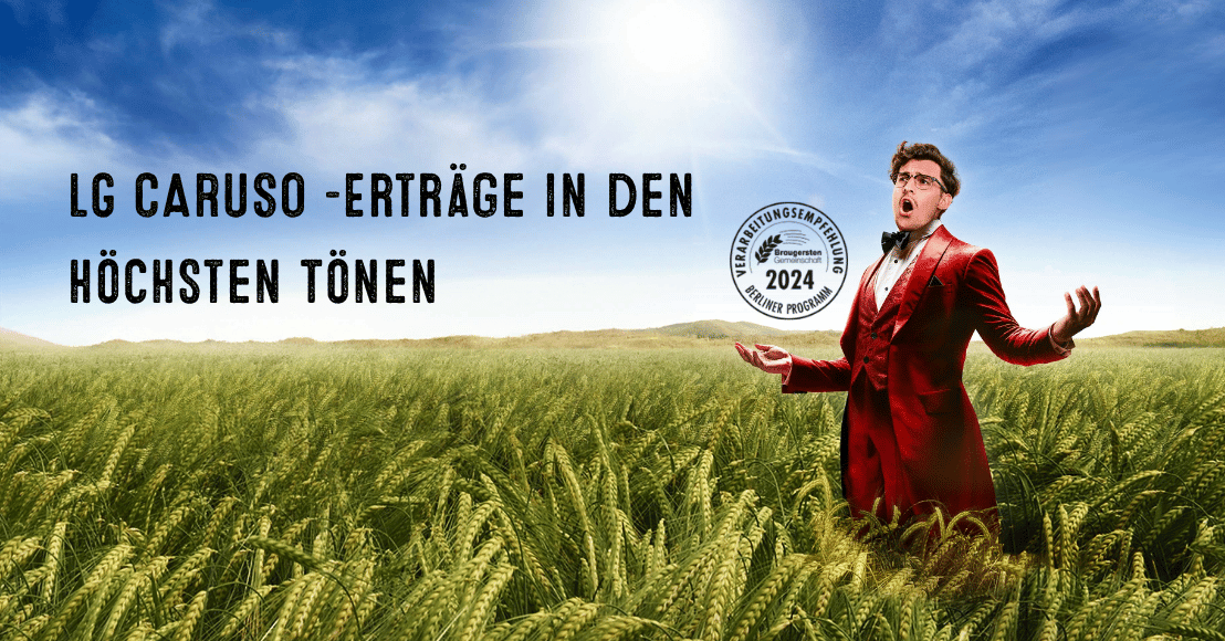 LG CARUSO Sommerbraugerste - Erträge in den höchsten Tönen