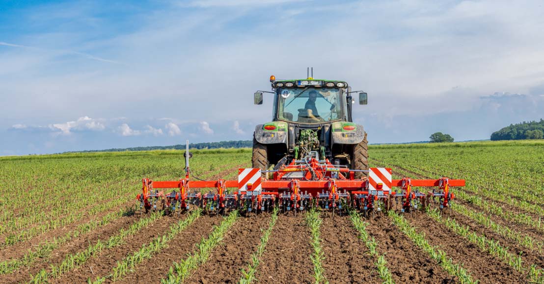 Mechanische Bekämpfung von Unkraut im Mais