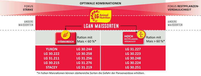 Schaubild LGAN