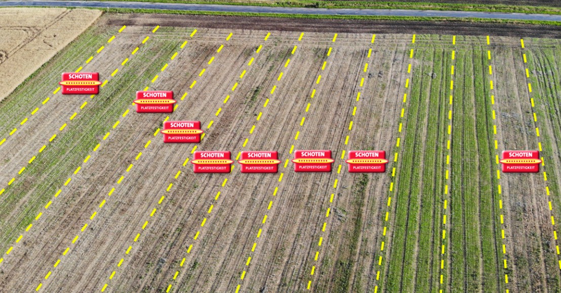 Schotenplatzfestigkeit - gegen Ausfallraps - besser ist das