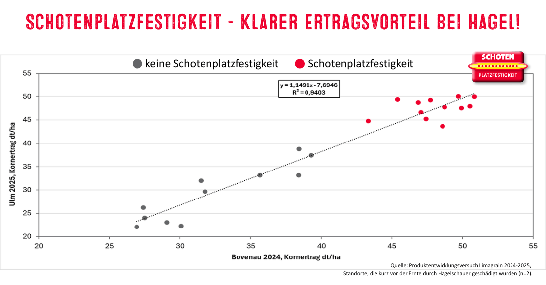 Schotenplatzfestigkeit - ein eindeutiger Ertragsvorteil bei Hagelereignissen