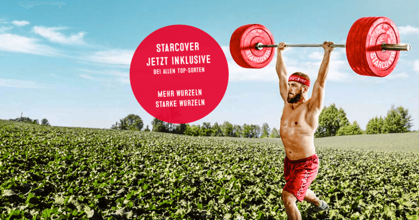 Mehr Wurzeln, bessere Wurzeln - Raps mit starcover Wachsttumsstimulanz Mehr Wurzeln, bessere Wurzeln - Raps mit starcover Wachsttumsstimulanz