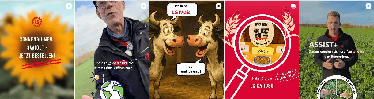 Instagram Themen - hier gibt es den Hintergrund dazu