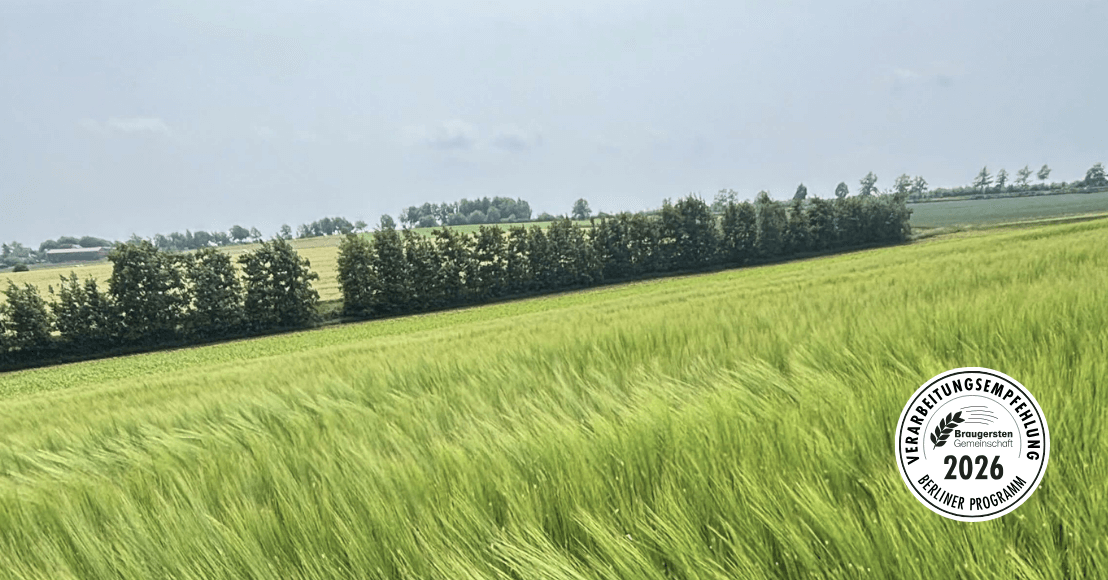 LG Baryton Sommerbraugerste - Verarbeitungsempfehlung Berliner Programm