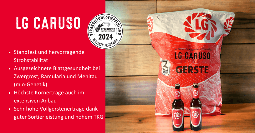 Lg Caruso Berlinerprogramm2024