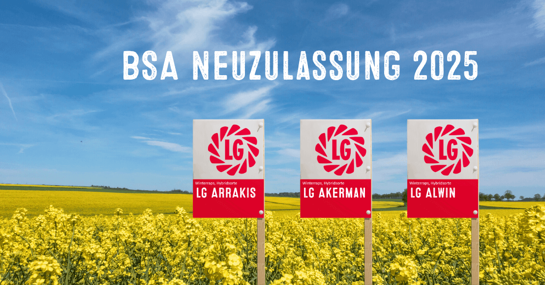 Neuelgrapssorten 2025 1108X580