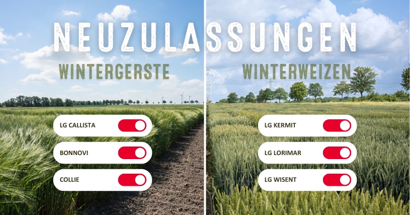 LG Wintergetreide Neuzulassungen 2024